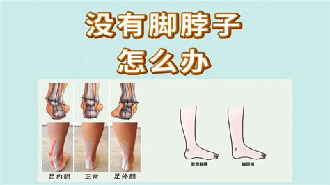 腳脖子是什麼